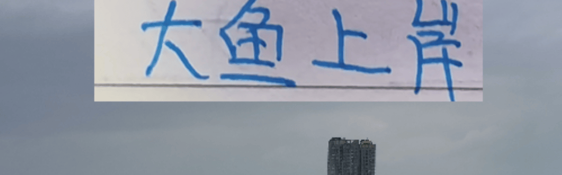 北京国安也是外援大结局了！来了德甲中卫，还有澳超冠军边锋