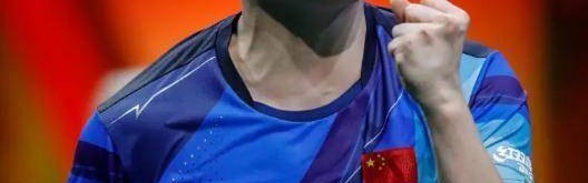 就在今日！12月3日传来樊振东新讯息，小胖登在德甲60周年主题首页